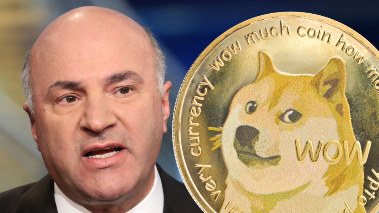 Shark Tank’s Kevin O’Leary Won't Invest in Dogecoin, Says 'I Don’t Understand Why Anybody Would'