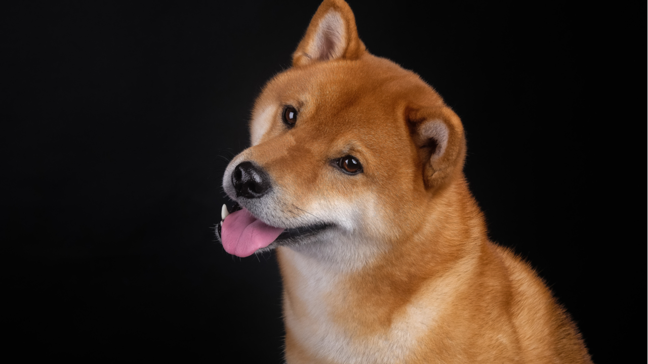 dogecoin