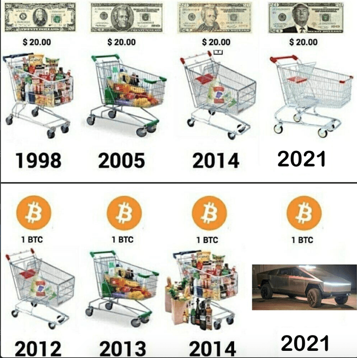 U.S. dollar inflation visualized at the top versus bitcoin’s deflation at the bottom (Source: Lark Davis @TheCryptoLark).