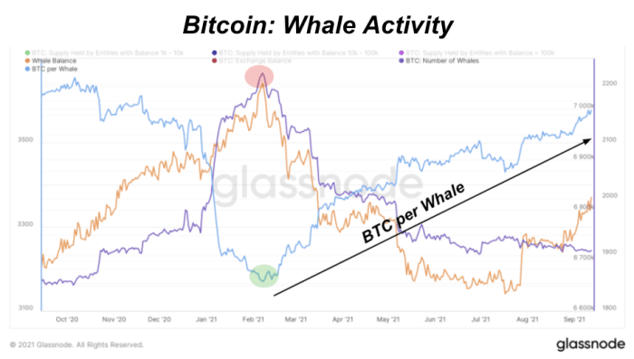 Source: Glassnode