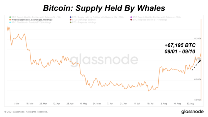 Source: Glassnode